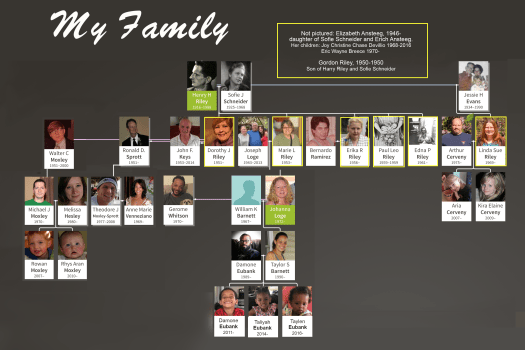 Family tree 2017-unframed-yellow-plus-text