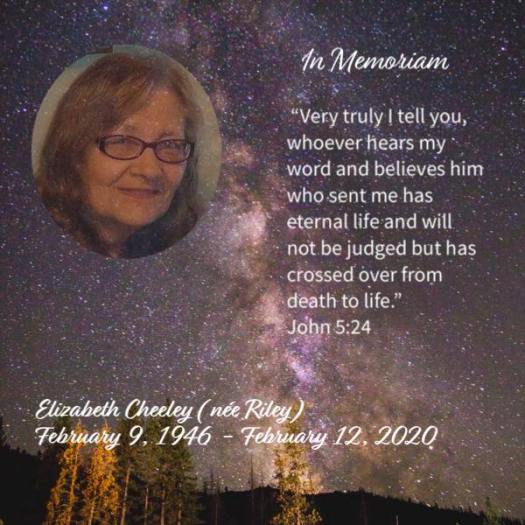 86364342_3278156908864589_3282171637750824960_n